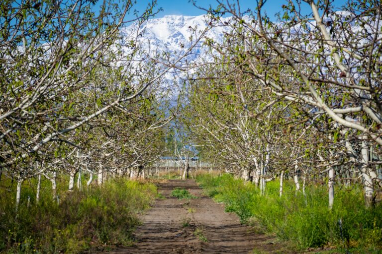 Terruño 13 Terruno 10