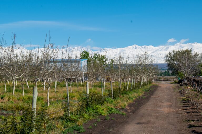 Terruño 5 Terruno 12