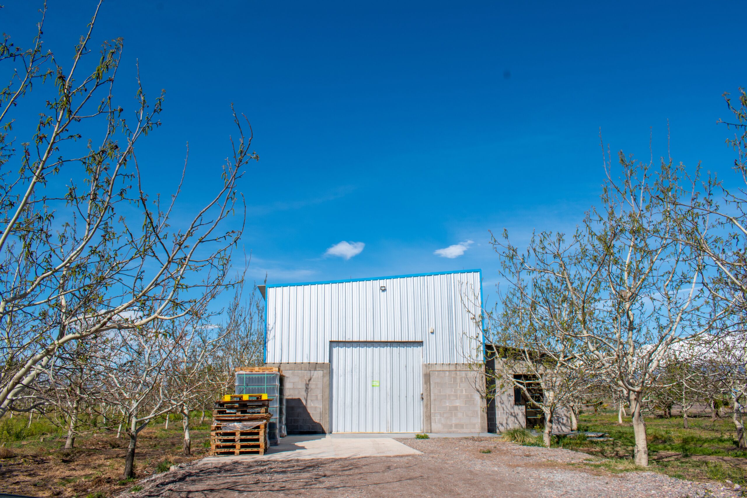 Terruño 4 Terruno 13 scaled