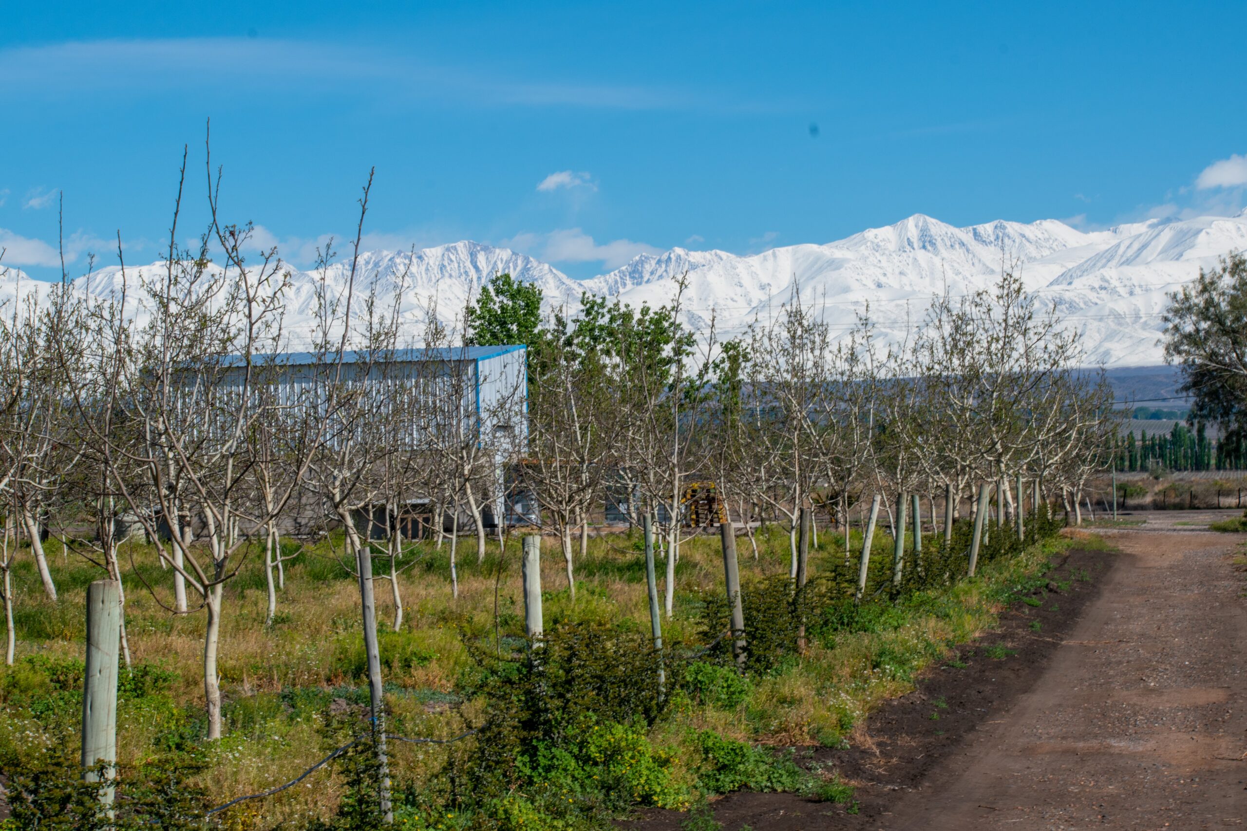 Terruño 9 Terruno 3 scaled