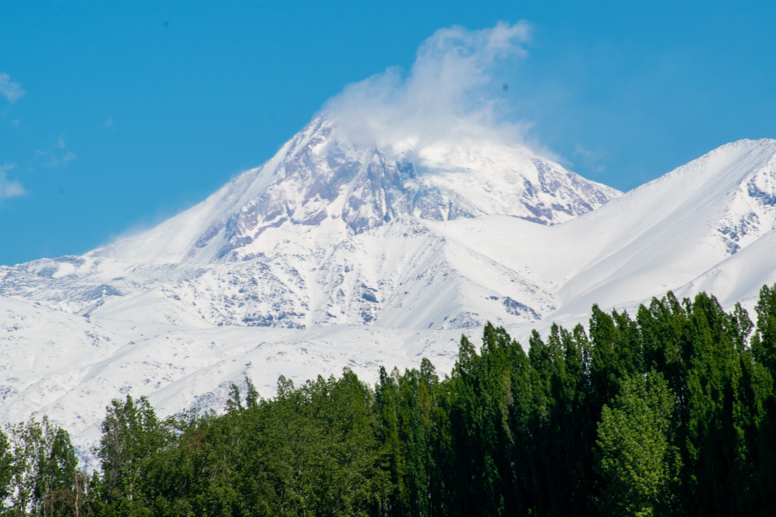 Terruño 8 Terruno 5 scaled