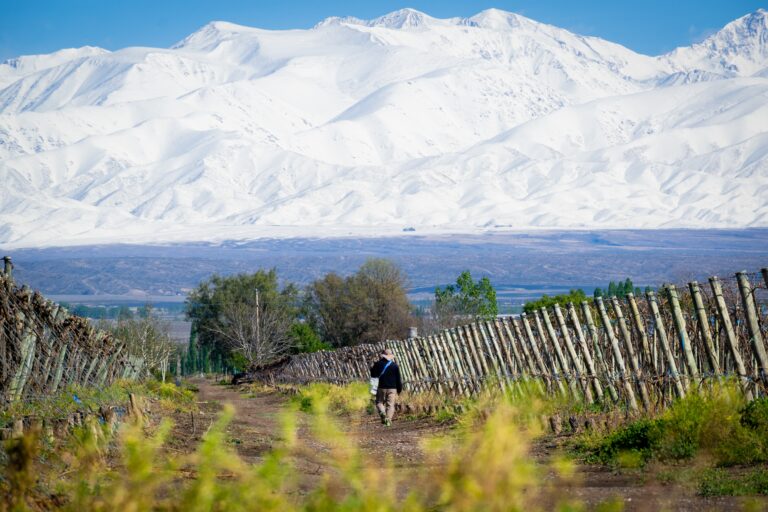 Terruño 6 Terruno 6